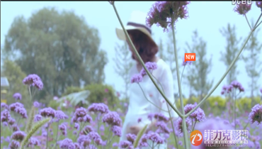 公司拍攝宣傳片都需要按照這個步驟